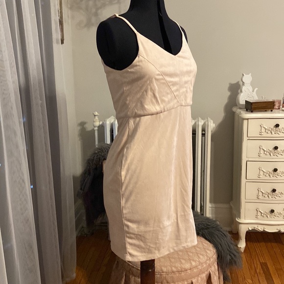 Blush Pink Dress - Picture 3 of 6